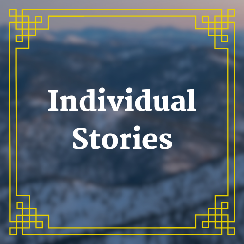 Individual Stories